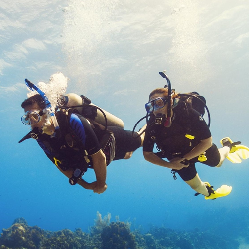 Open Water Dives for Certification